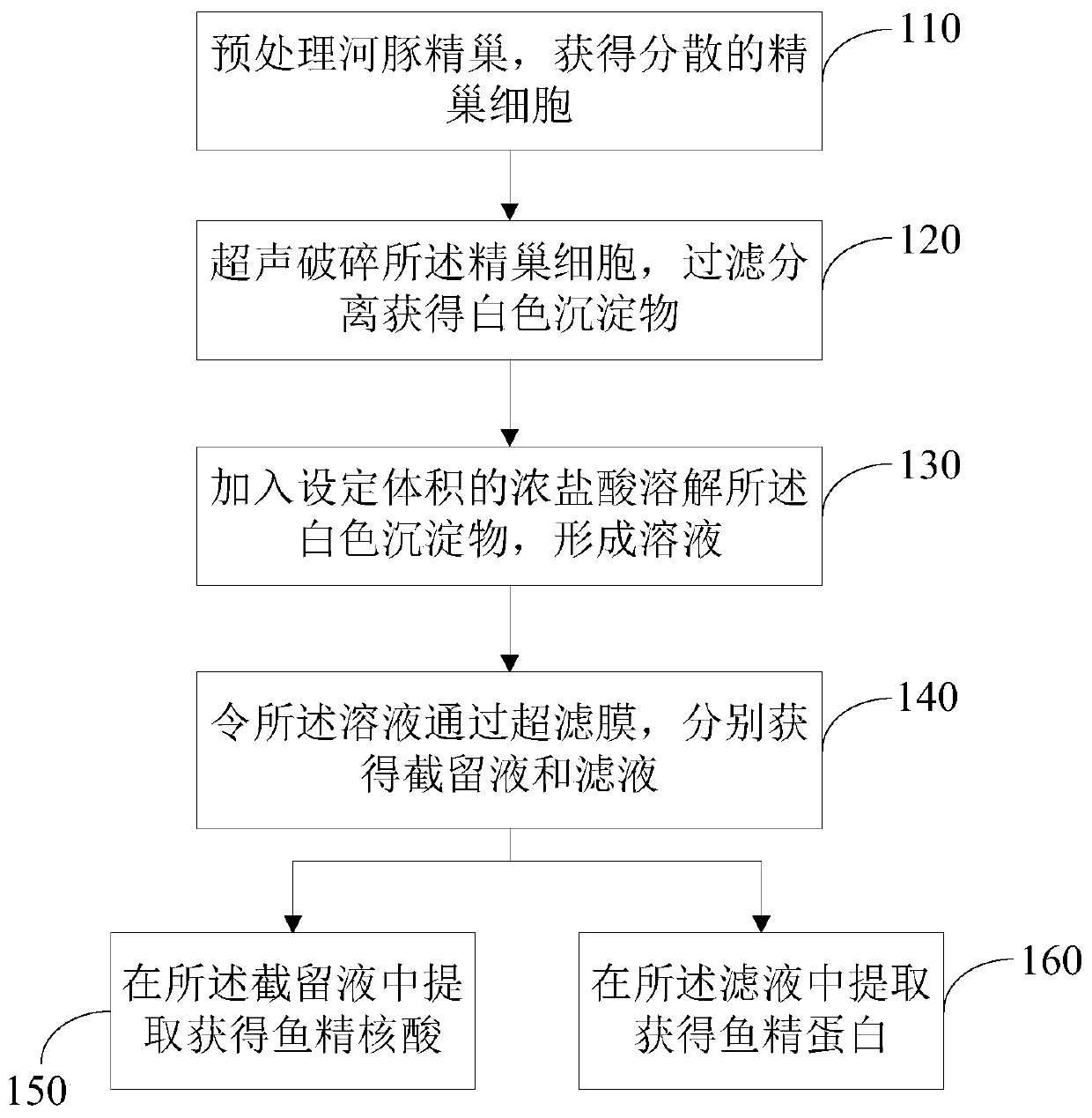 Extraction method of globefish testis milt components