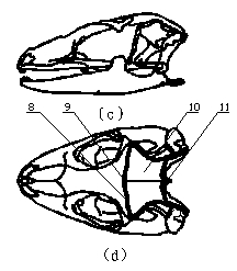 Microelectrode propelling device and method