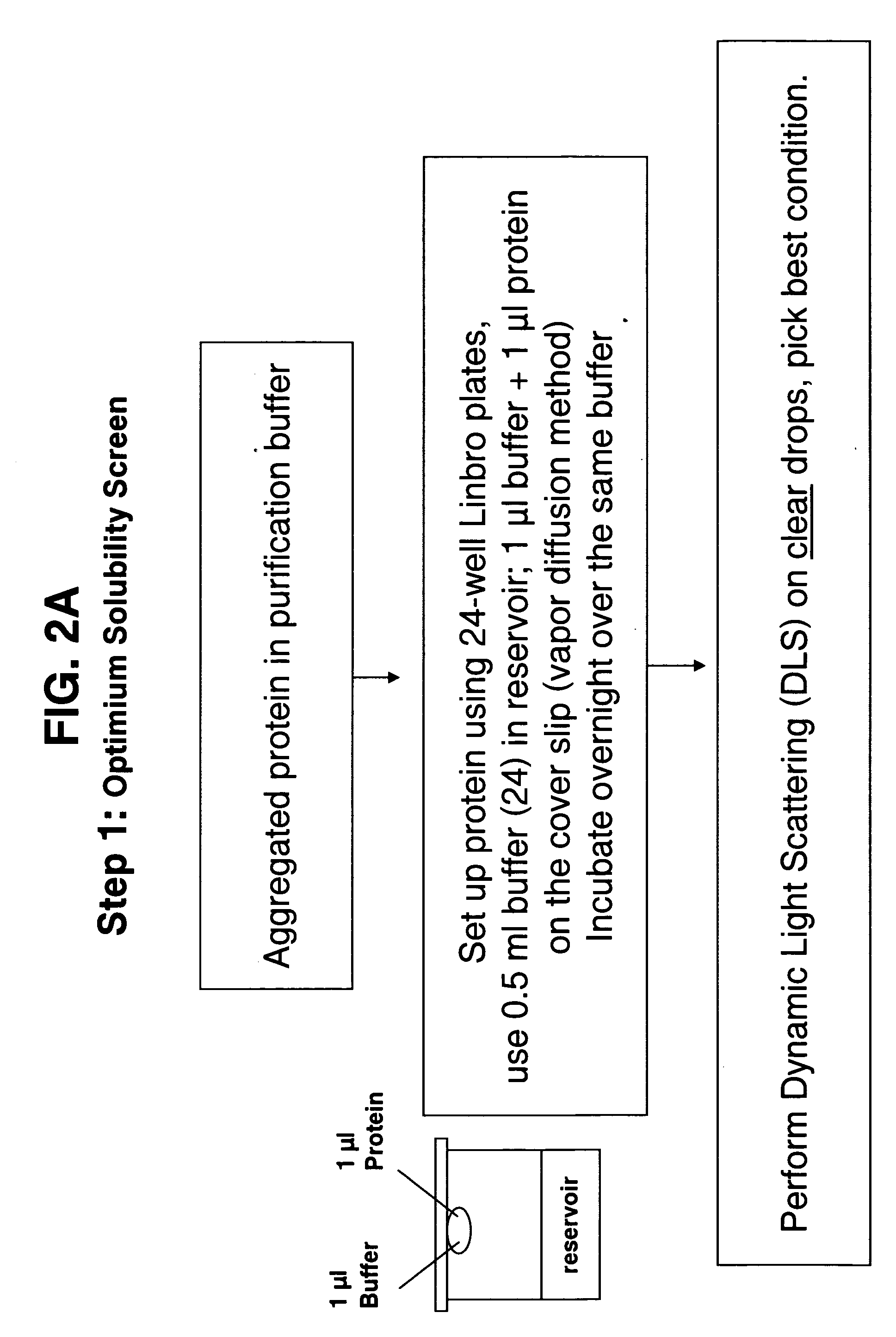 High-throughput method for optimum solubility screening for homogeneity and crystallization of proteins