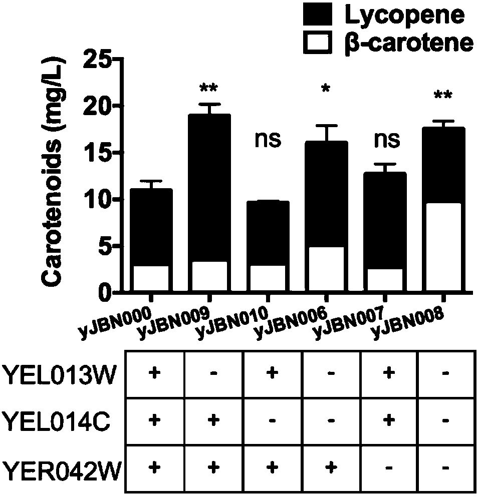 Application of gene YEL013W and gene YER042W