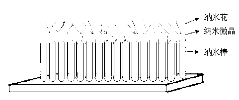 Titanium dioxide nanorod-nanocrystalline-nanoflower material and preparation method thereof