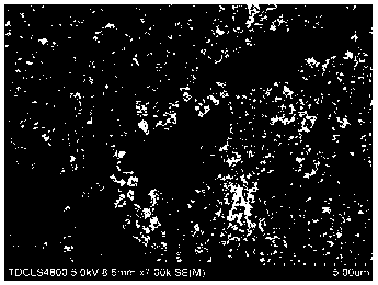 Titanium dioxide nanorod-nanocrystalline-nanoflower material and preparation method thereof