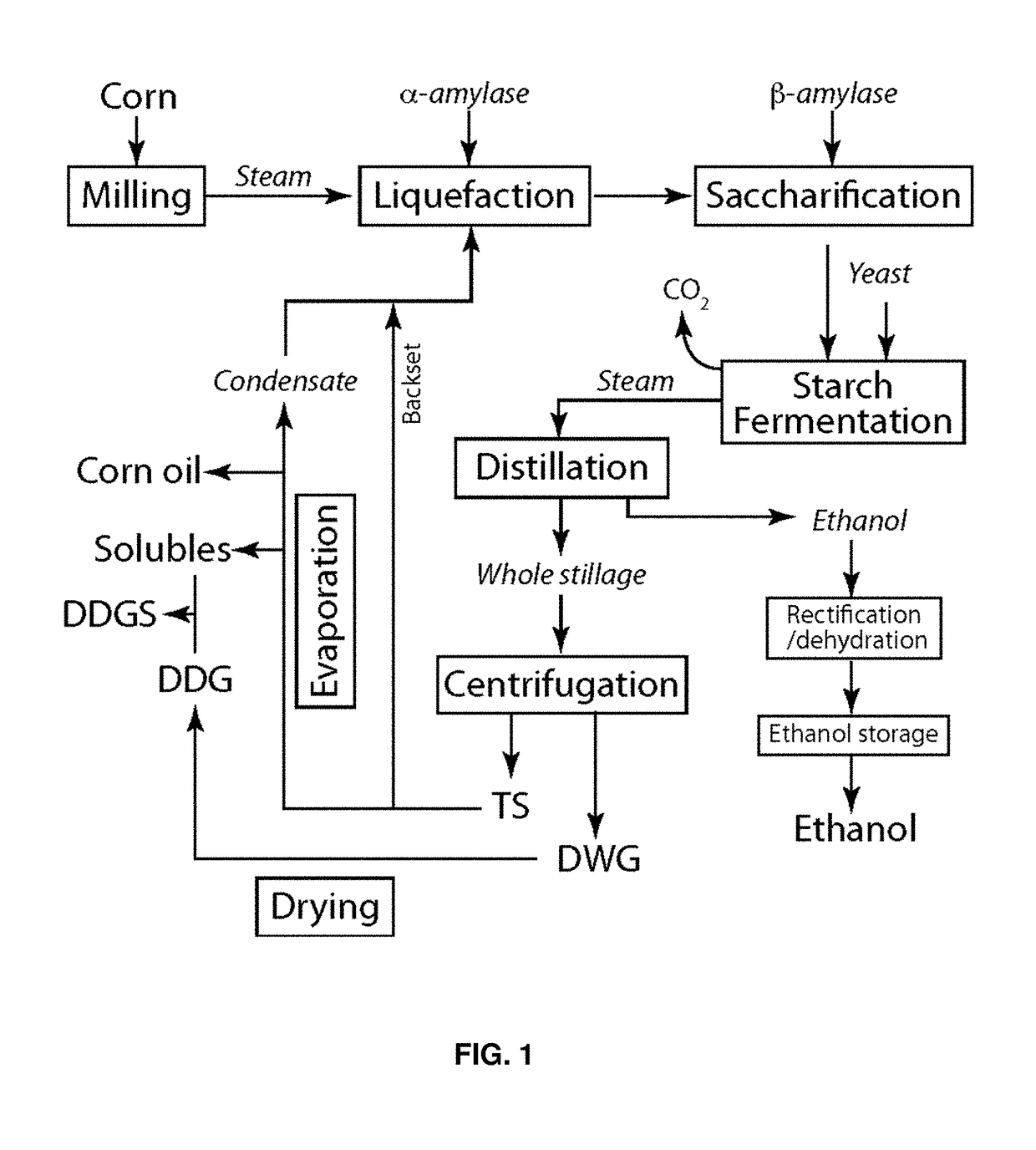 Compositions and methods for producing lipids and other biomaterials from grain ethanol stillage and stillage derivatives