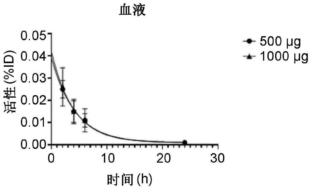 Visualization of HER2 expression in human patients