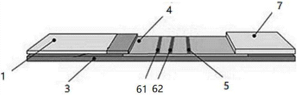 Test strip for detecting HIV (Human Immunodeficiency Virus) antibody in urea, detection cup and preparation method of test strip