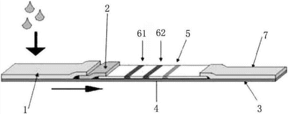 Test strip for detecting HIV (Human Immunodeficiency Virus) antibody in urea, detection cup and preparation method of test strip