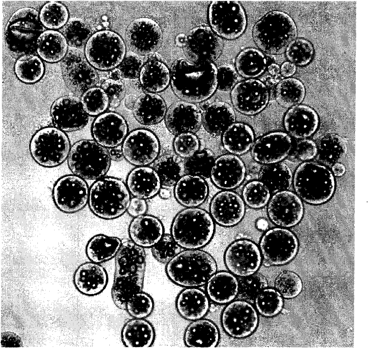 Pesticide microcapsule granule and preparation method thereof