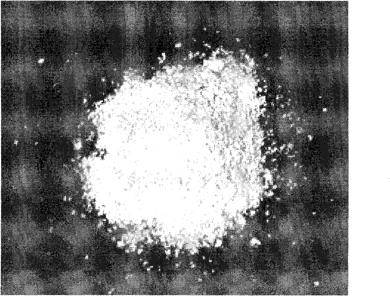 Pesticide microcapsule granule and preparation method thereof