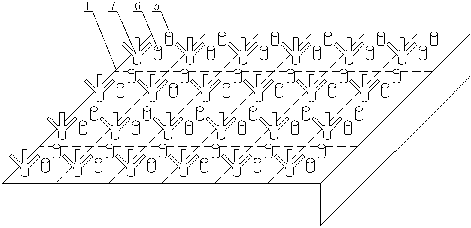 Plate cover structure of cell culture plate