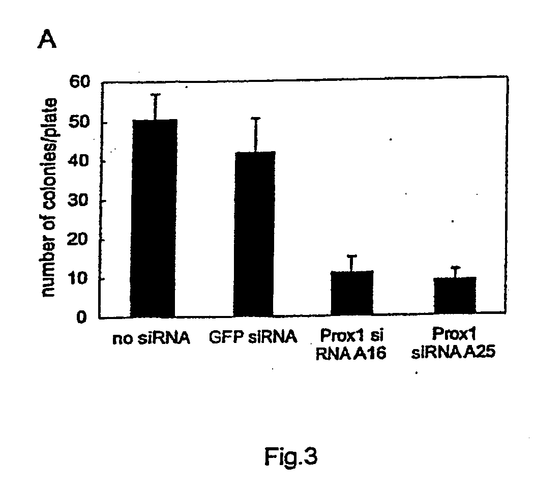 Materials and methods for colorectal cancer screening, diagnosis and therapy