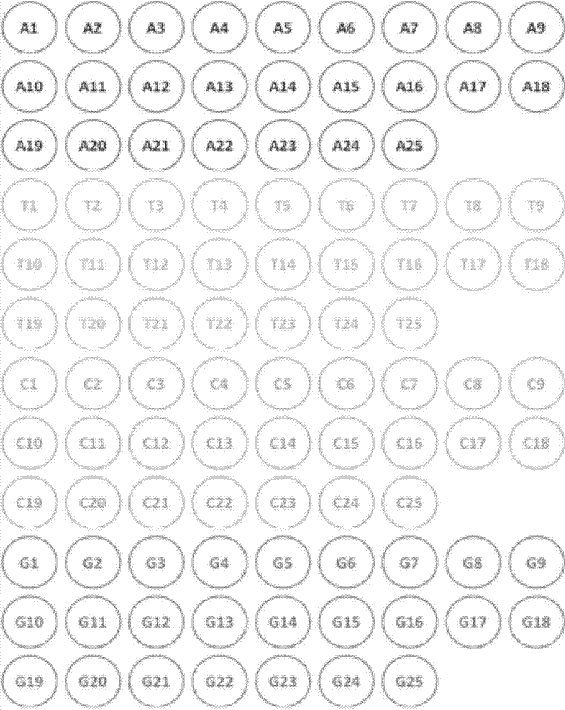 Single-module DNA (deoxyribonucleic acid) library and connecting method for TALENs (transcription activator-like effector nucleases) identification modules