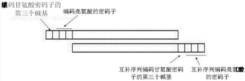 Single-module DNA (deoxyribonucleic acid) library and connecting method for TALENs (transcription activator-like effector nucleases) identification modules