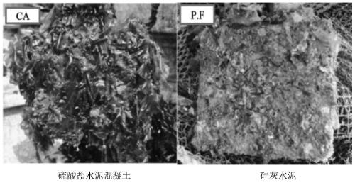 Oyster attachment substrate made of lightweight concrete and preparation method thereof