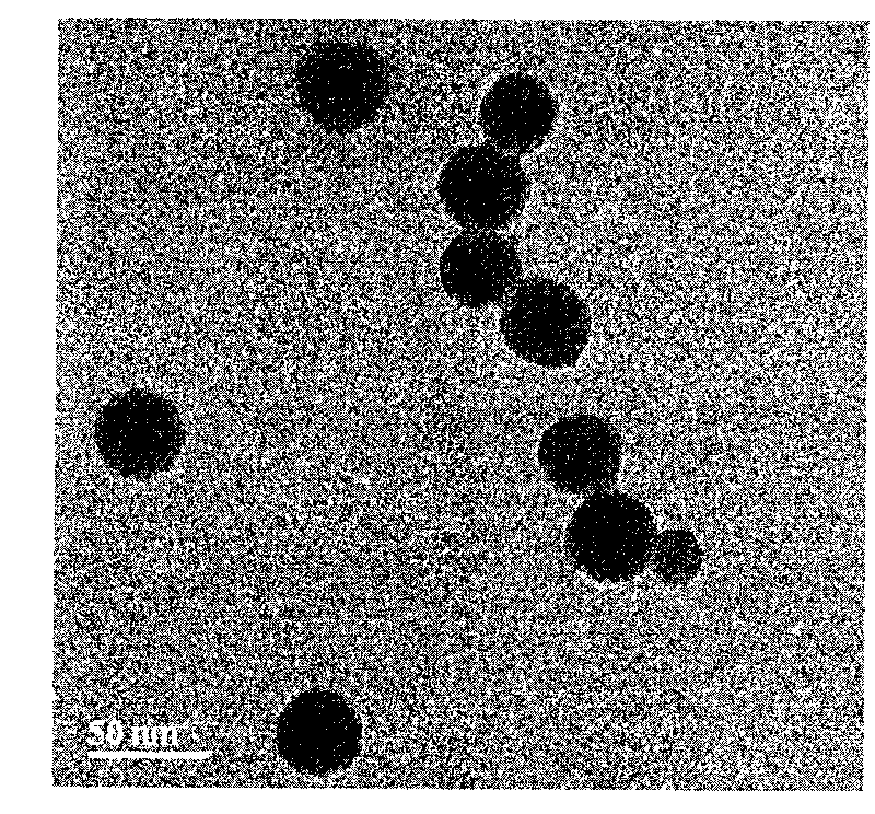 Preparation method of trimanganese tetroxide nanoparticles with magneto-optical double functions