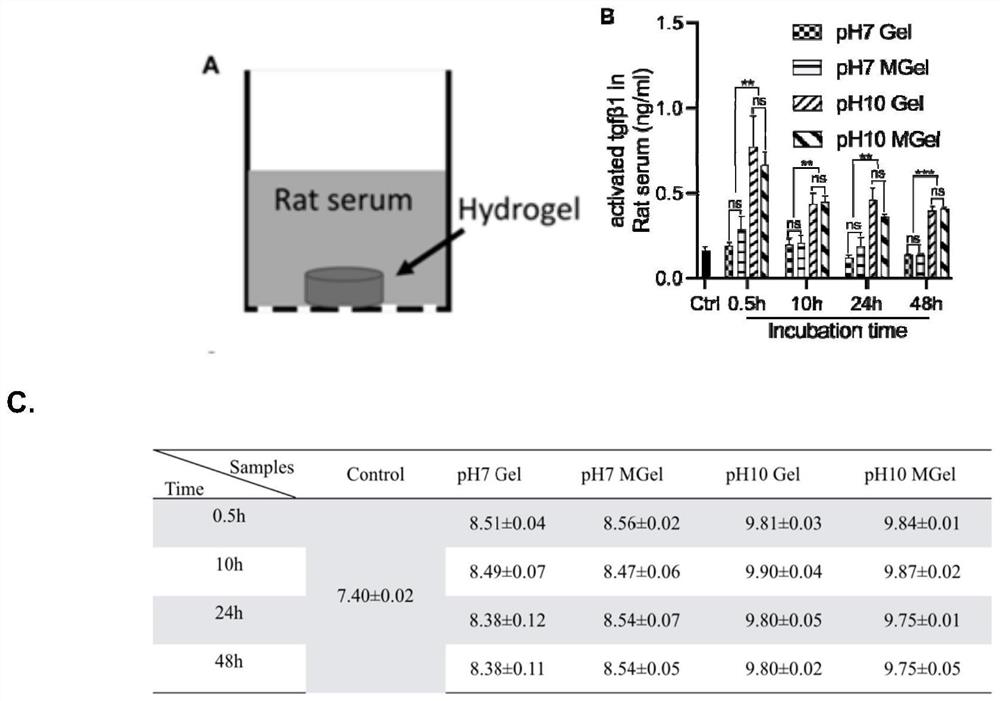 Preparation and application of injectable bone repair material capable of activating endogenous TGF beta1 in situ