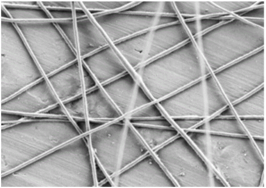 Electrostatic spinning directional nanofiber membrane and preparation method and application thereof