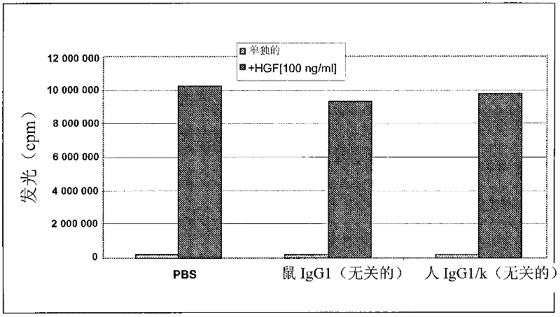 Anti-cmet antibody