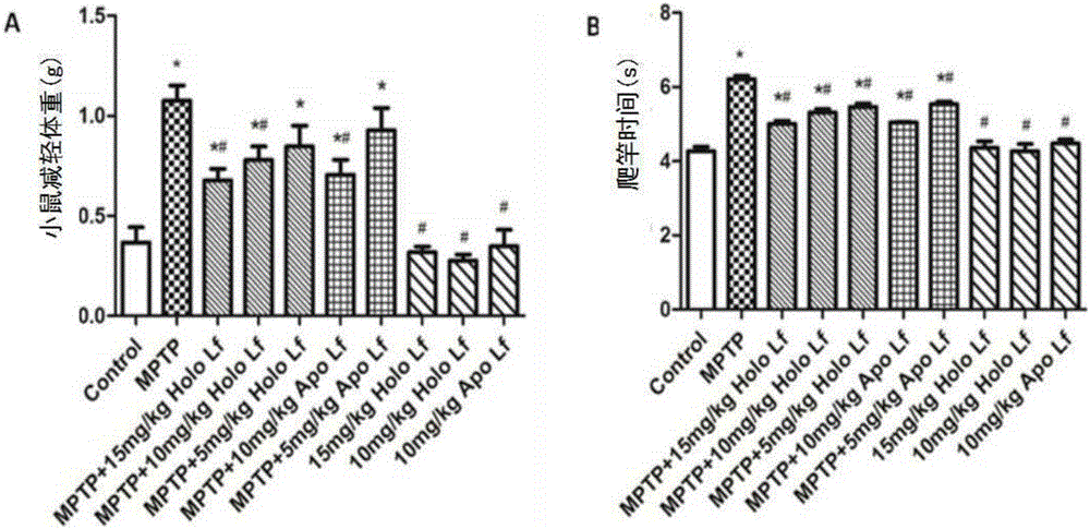 Application of Lf (lactoferrin) in preparation of PD (Parkinson's disease) treating drugs