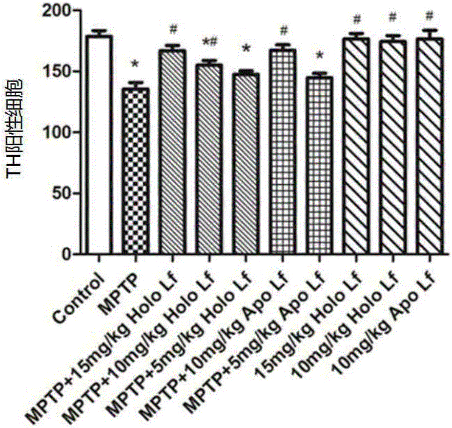 Application of Lf (lactoferrin) in preparation of PD (Parkinson's disease) treating drugs