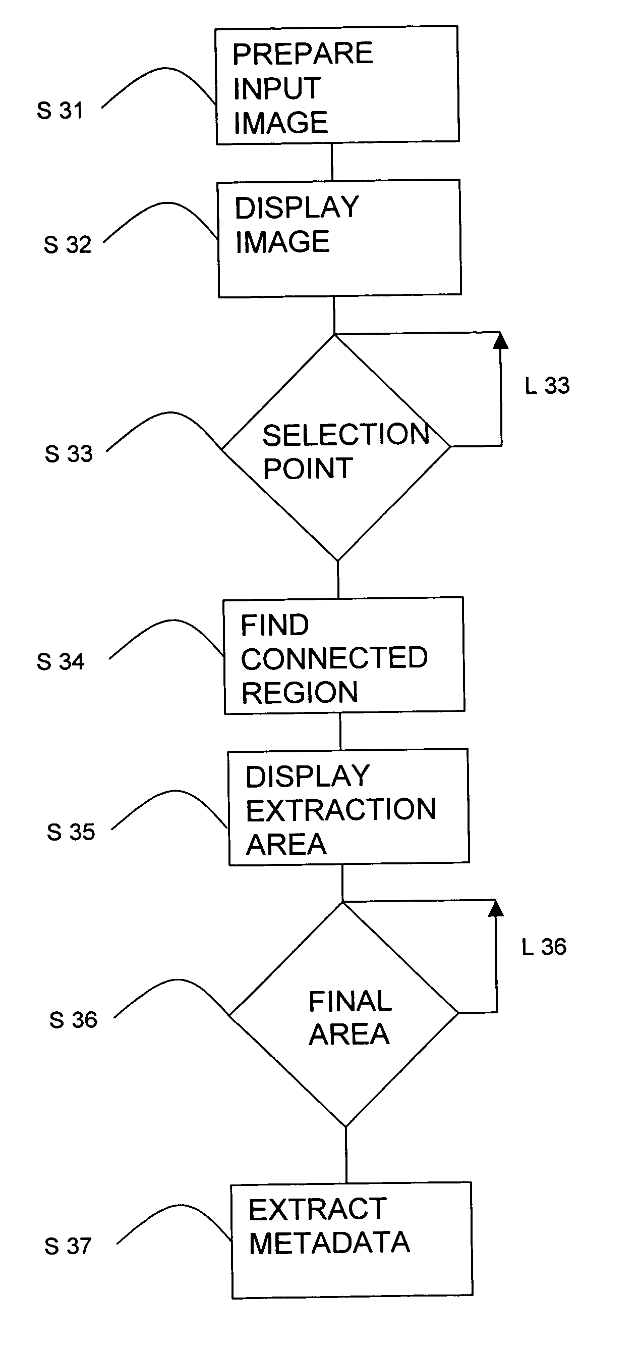 Metadata extraction from designated document areas