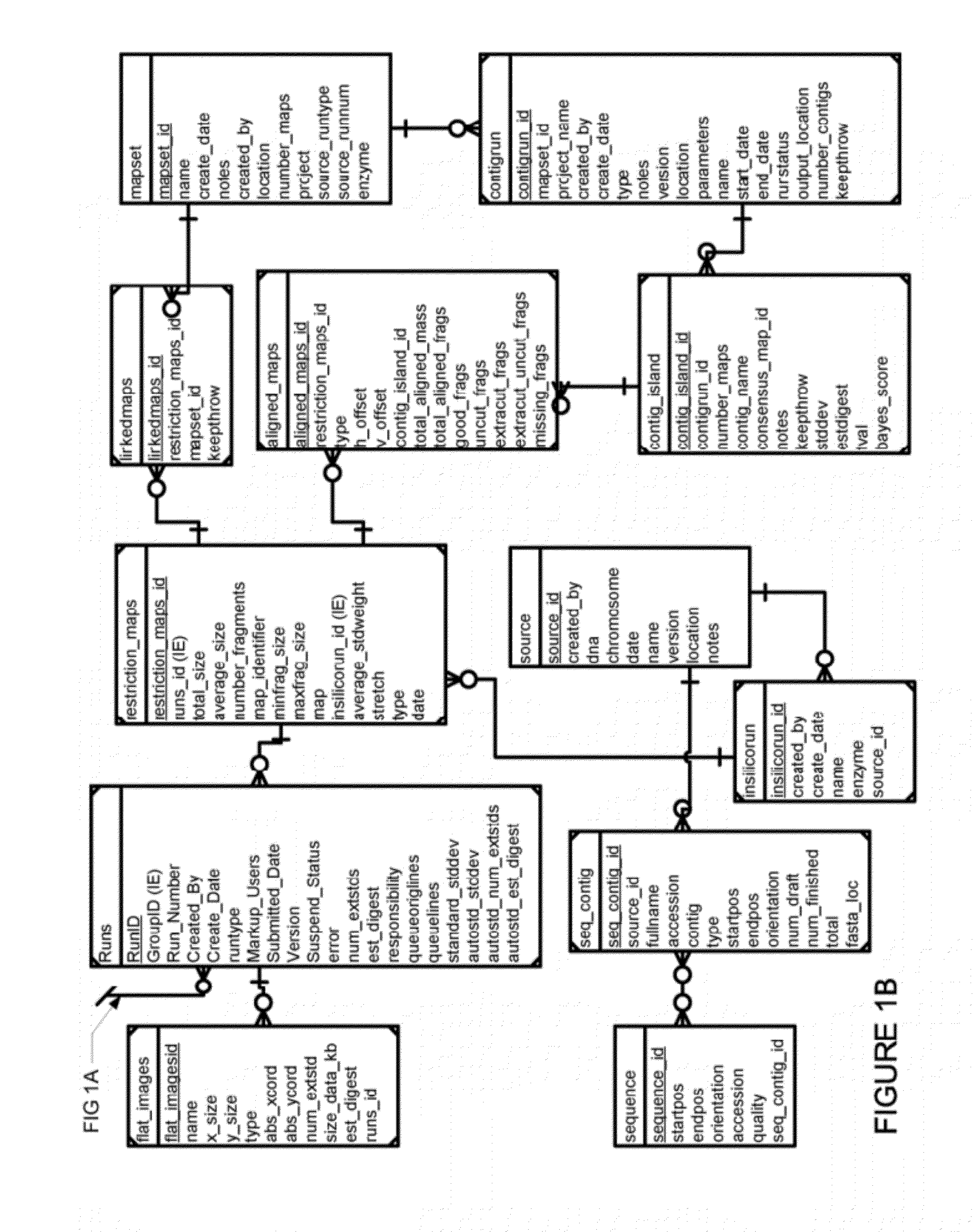 Computer database system for single molecule data management and analysis