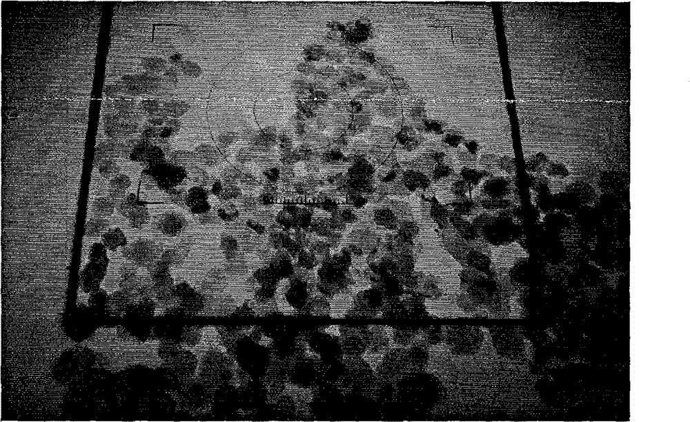 Method for preparing nano-level active calcium carbonate for rubber and plastic