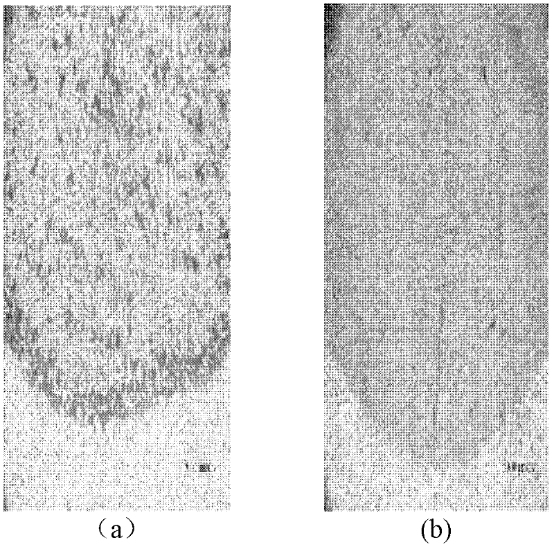 Electron beam welding method for aluminium alloy piston of automotive air condition compressor