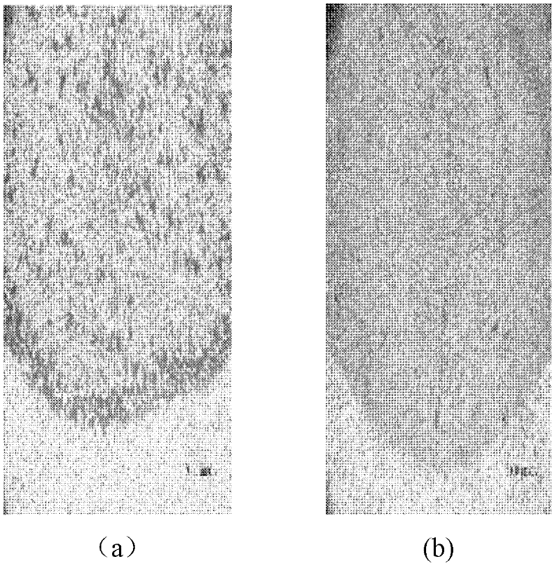 Electron beam welding method for aluminium alloy piston of automotive air condition compressor