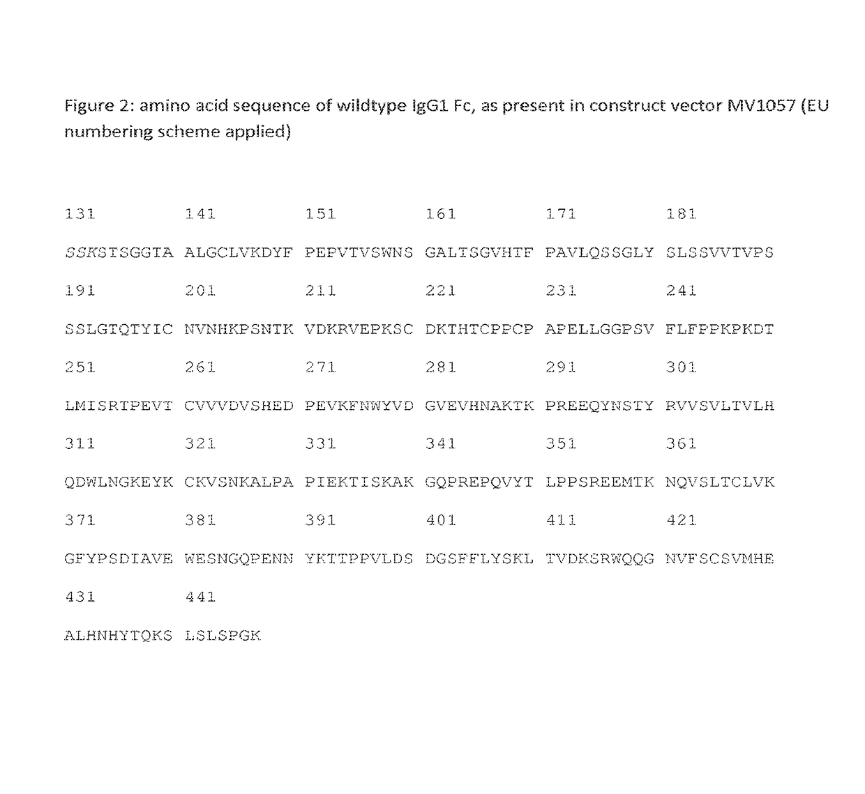 Methods and means for the production of Ig-like molecules