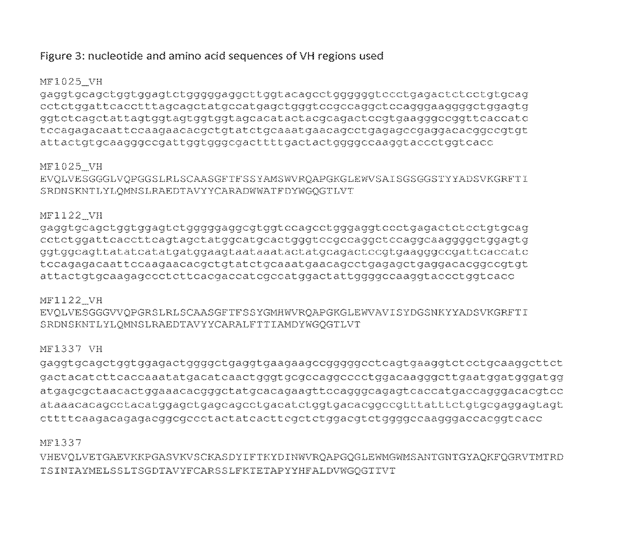 Methods and means for the production of Ig-like molecules