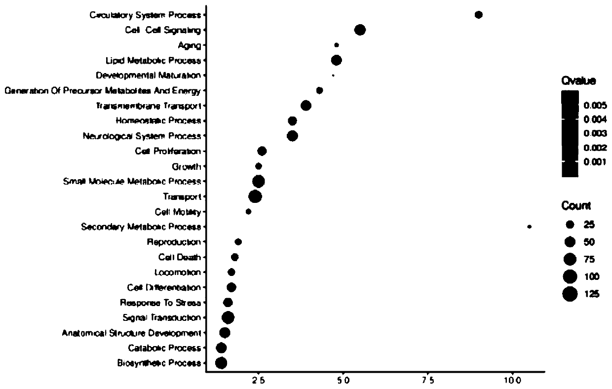 Method for analyzing analgesic effect of active ingredients of nux vomica based on network pharmacology