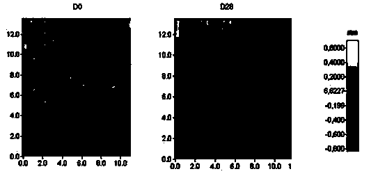 A kind of anti-aging cosmetic composition containing plant cell active substance and polypeptide