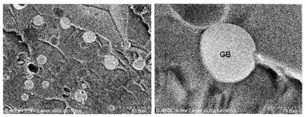 Method for producing superabsorbent polymer and superabsorbent polymer