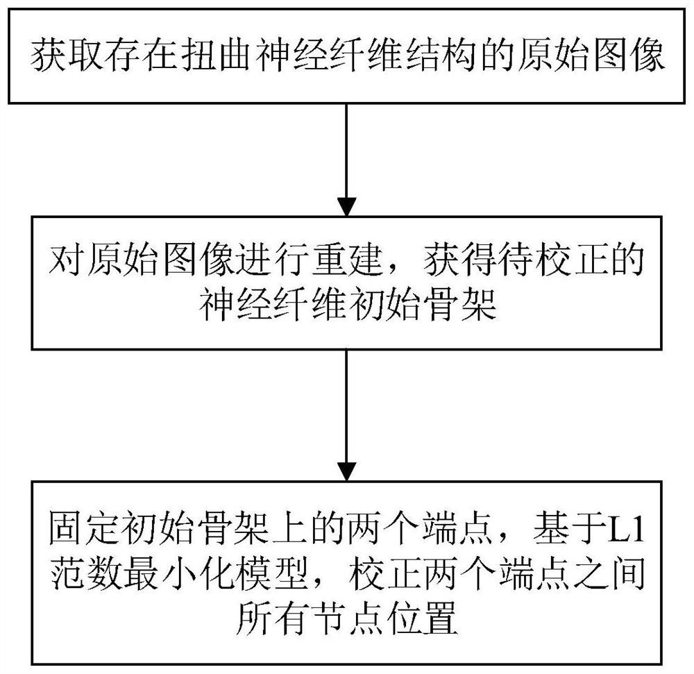 A Nerve Fiber Skeleton Correction Method Based on l1 Norm Minimization Model