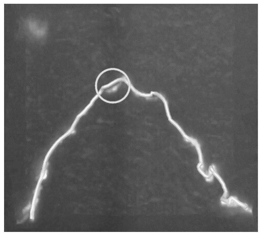 A Nerve Fiber Skeleton Correction Method Based on l1 Norm Minimization Model