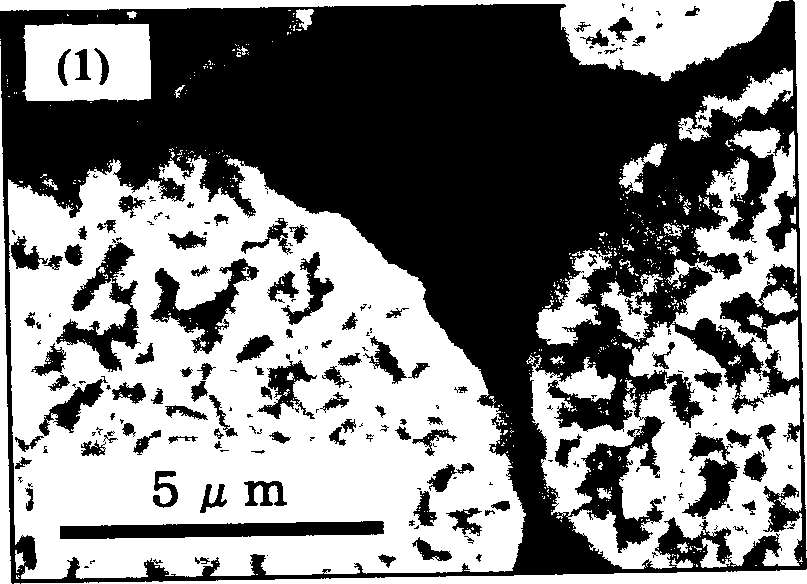 Positive electrode active material and non-aqueous electrolyte secondary battery containing the same