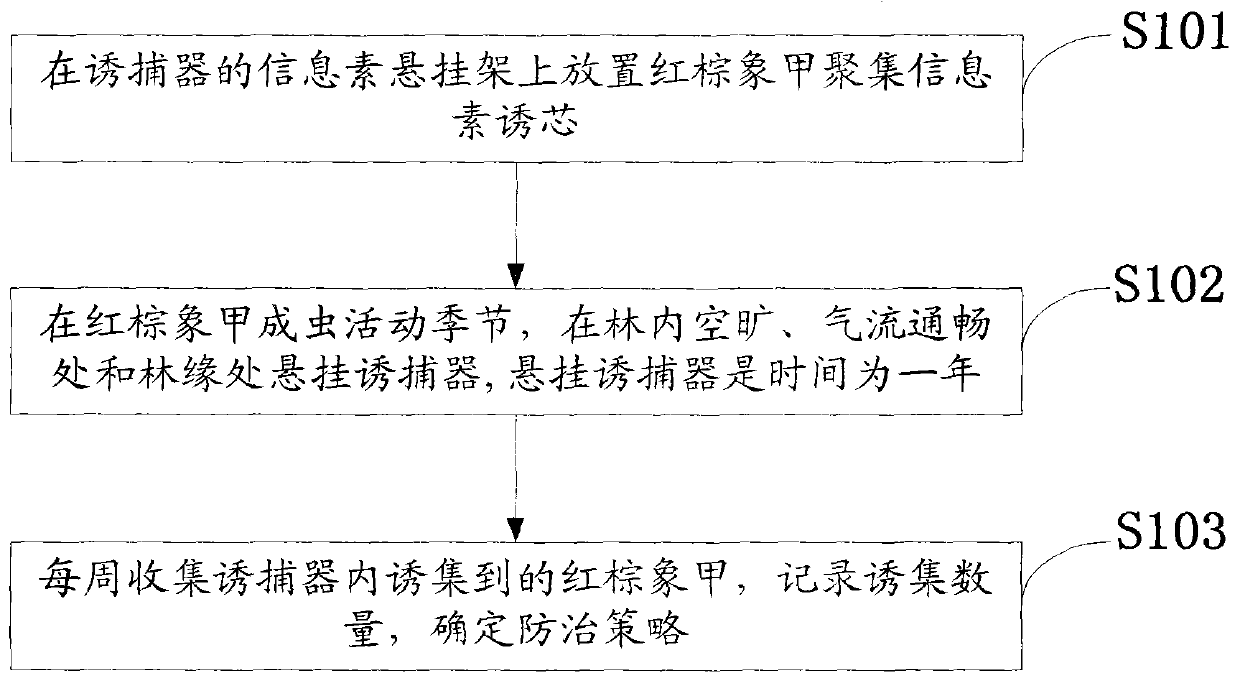 Method for monitoring rhynchophorus ferrugineus through pheromones