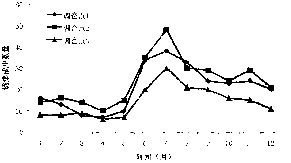 Method for monitoring rhynchophorus ferrugineus through pheromones