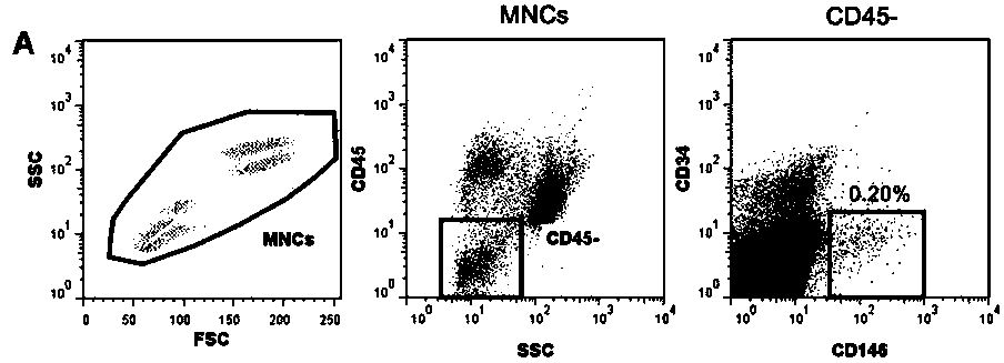 A kit, a system and a method for determining patient marrow microenvironment after hematopoietic stem cell transplantation