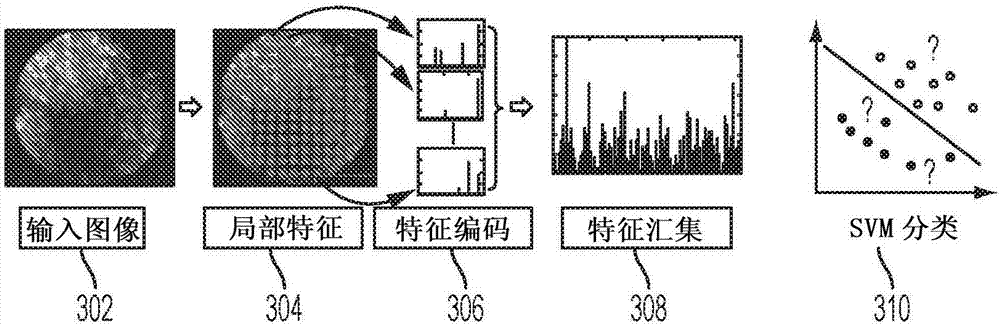 Method and system for automated brain tumor diagnosis using image classification