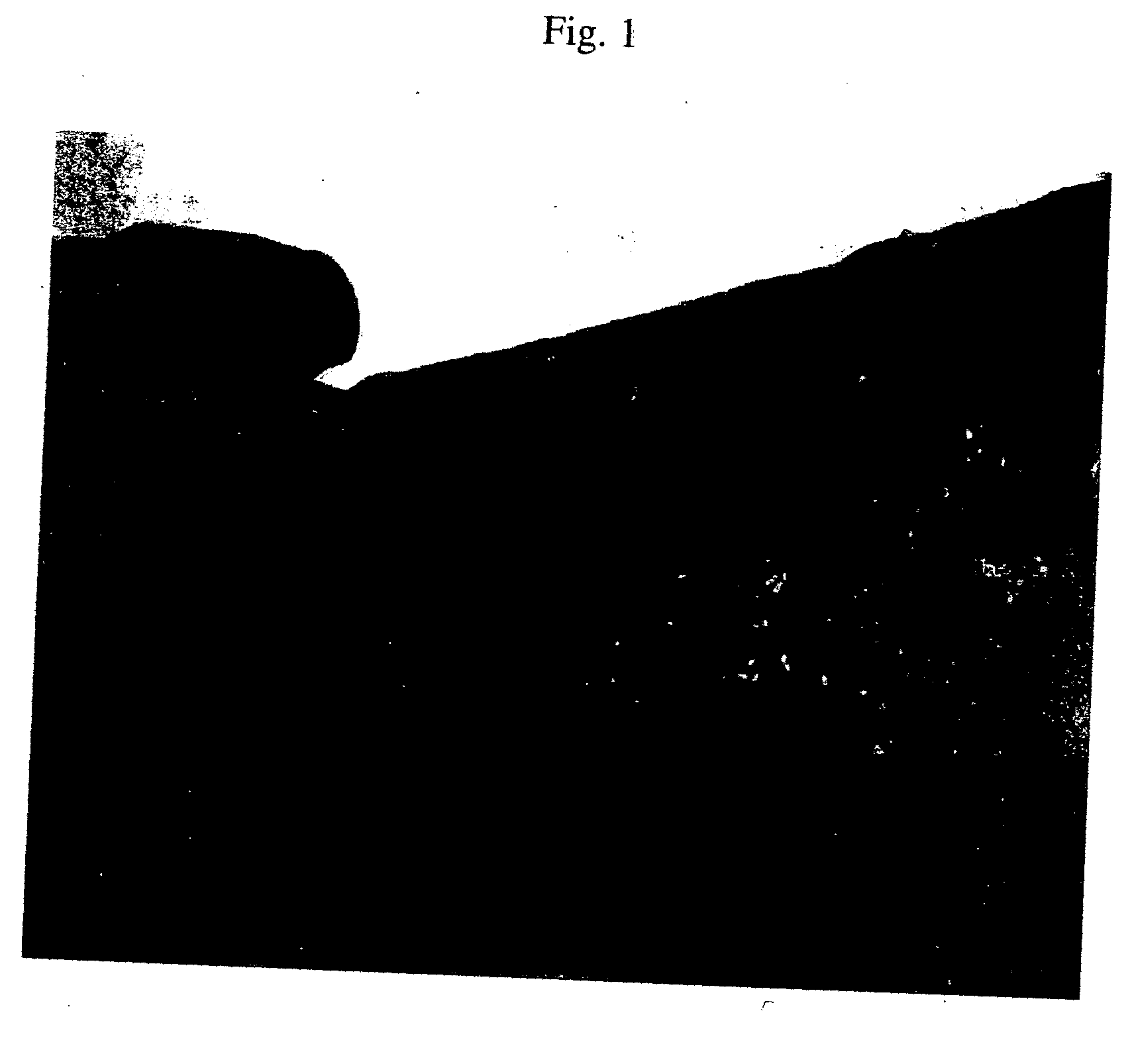 Compositions for disrupting and inhibiting reconstitution of wound biofilm