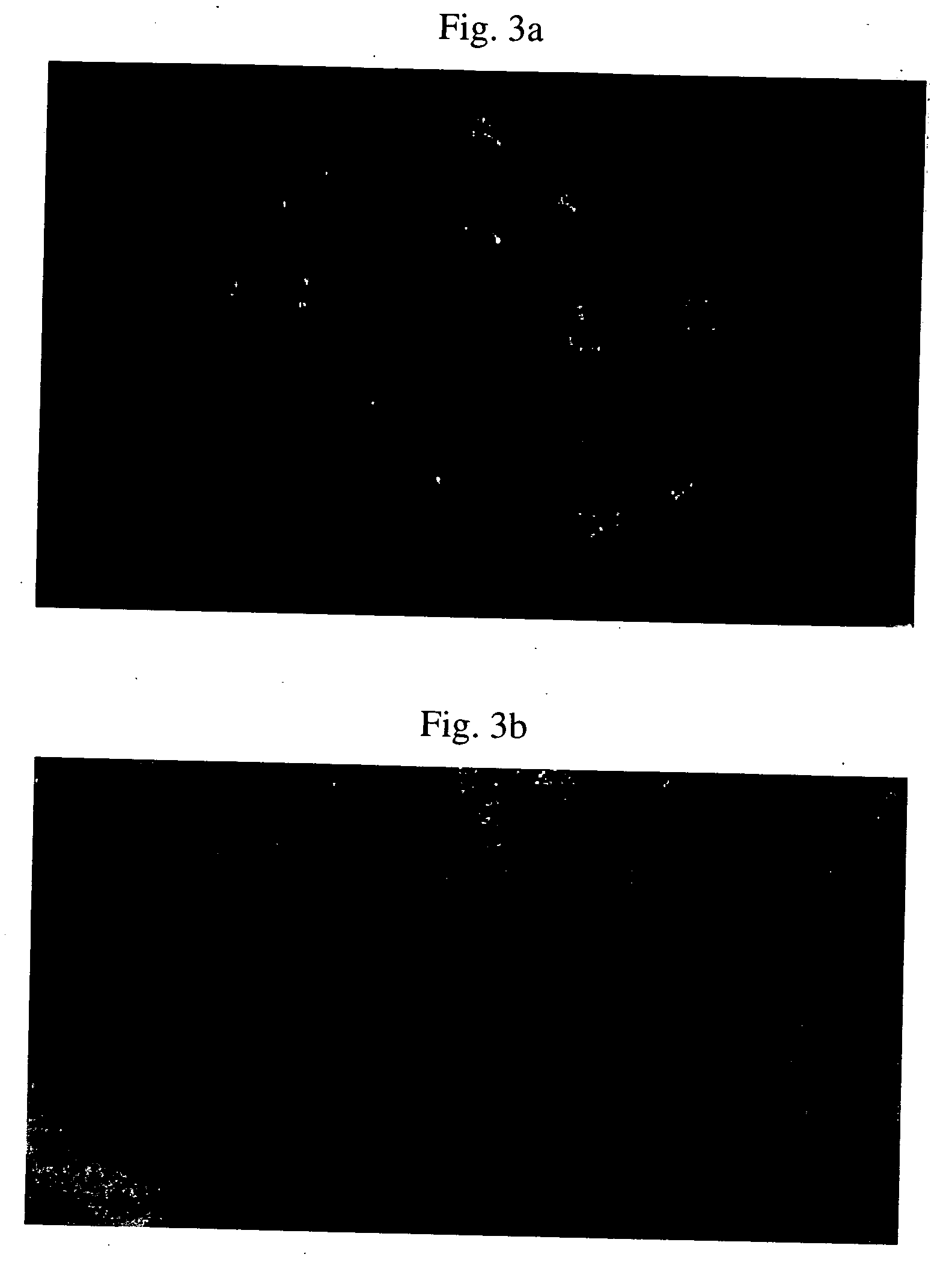 Compositions for disrupting and inhibiting reconstitution of wound biofilm