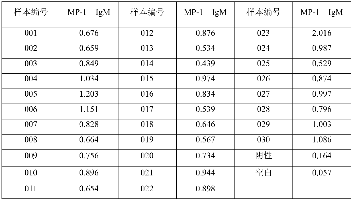 Preparation and application of mycoplasma pneumoniae recombinant antigen