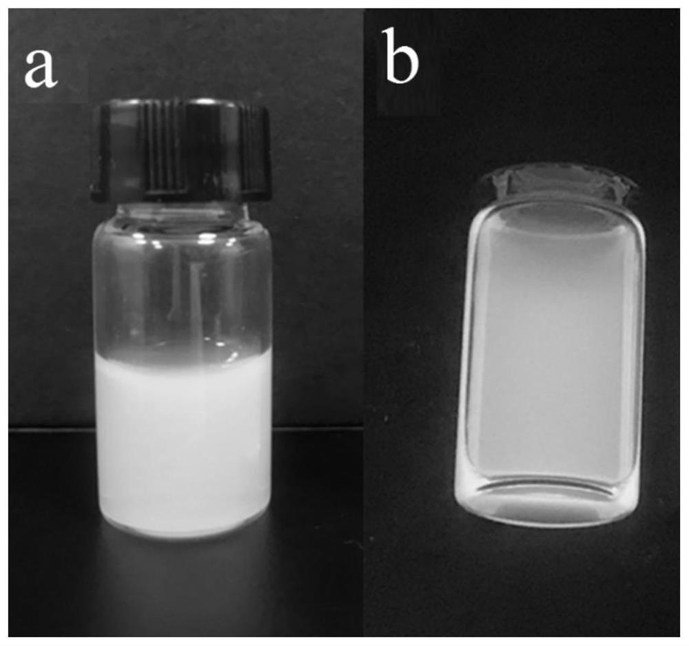 Electrogenerated chemiluminescence sensor, preparation method and application of electrogenerated chemiluminescence sensor in glucose detection