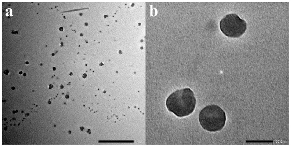 Electrogenerated chemiluminescence sensor, preparation method and application of electrogenerated chemiluminescence sensor in glucose detection