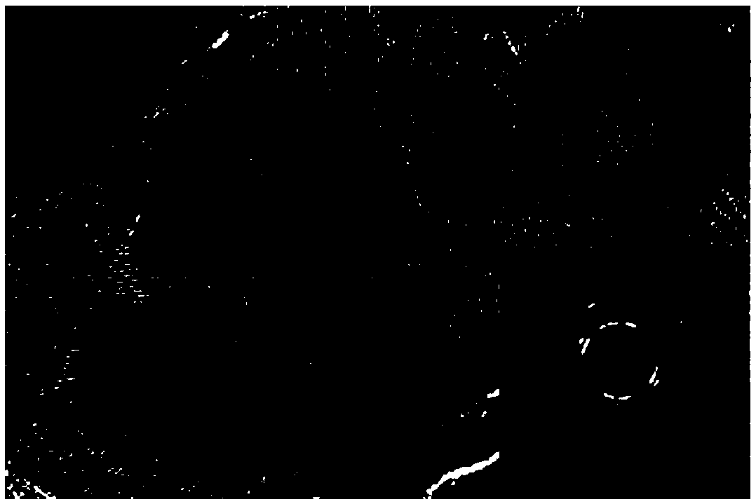 Preparation method of high-capacity hydrogen storage alloy powder catalyzed by lacl3