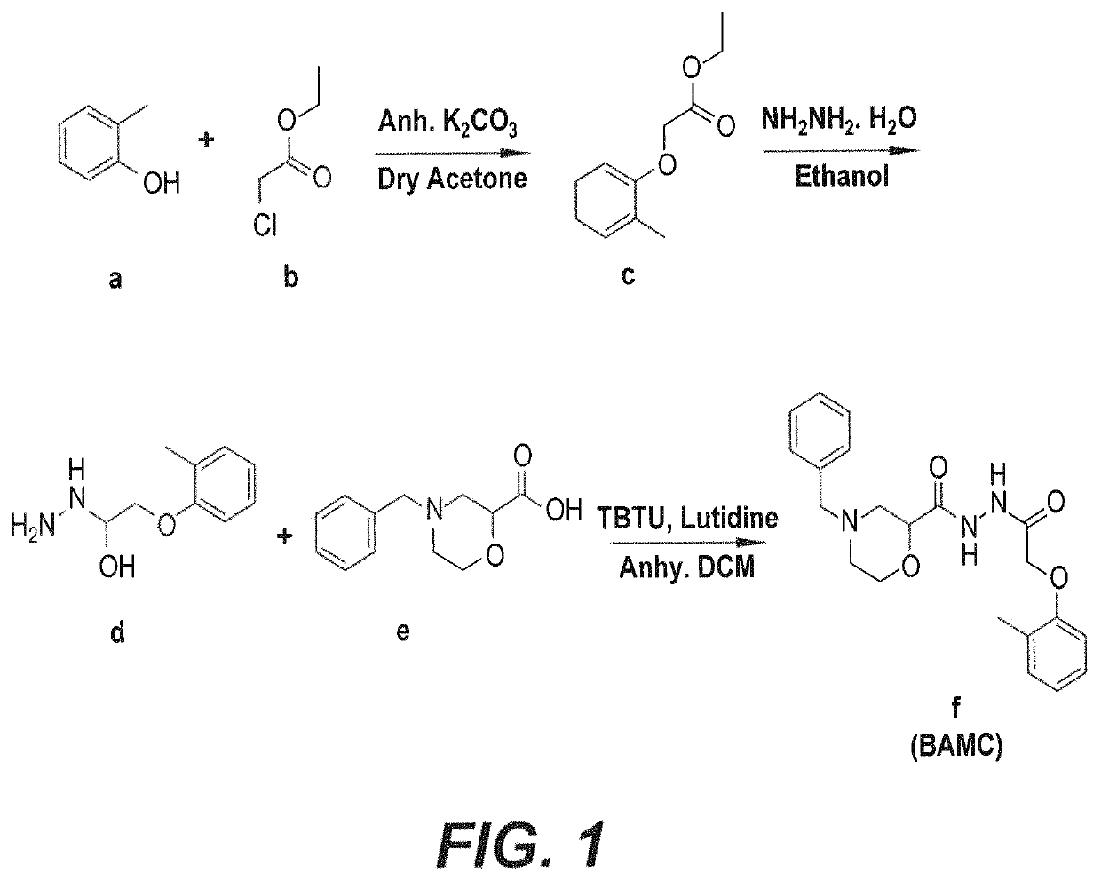 Anti-angiogenesis compound