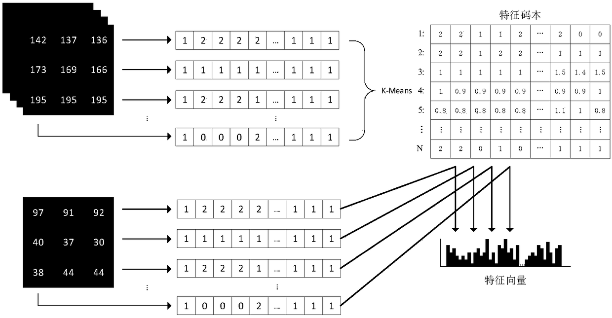 Vehicle logo feature extraction and recognition method based on feature quantization of gradient direction division