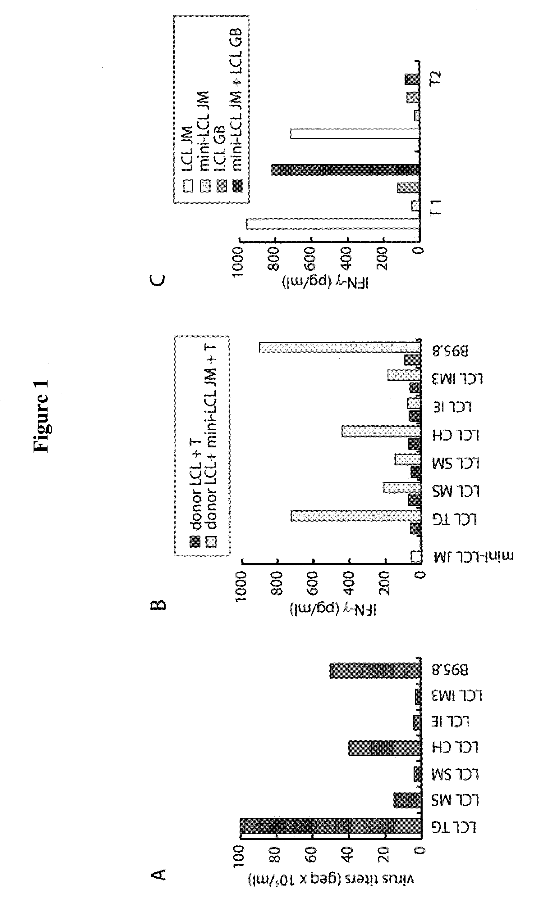 Ex vivo method for producing a preparation containing CD4+ T cells specific for EBV structural antigens