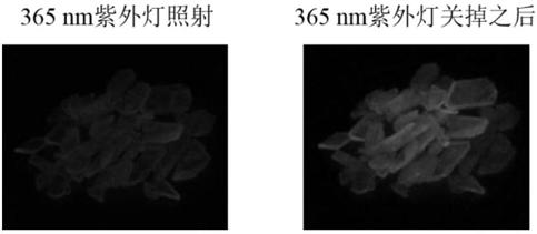 Pure organic room-temperature phosphorescent material of distorted donor-receptor structure and preparation method and application of pure organic room-temperature phosphorescent material